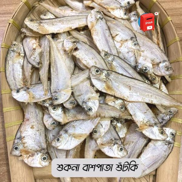 Bashpata Chepa Shutki