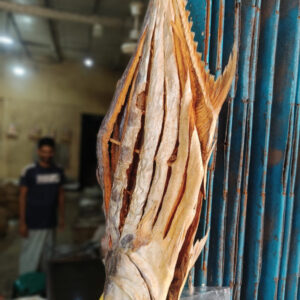Lakkha Shutki