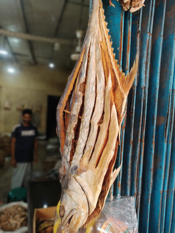 Lakkha Shutki