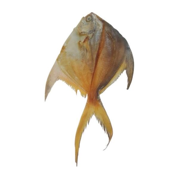 Rupchanda Shutki